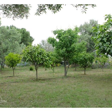 Il Giardino Di Rosy Villa Su Forti Dış mekan fotoğraf