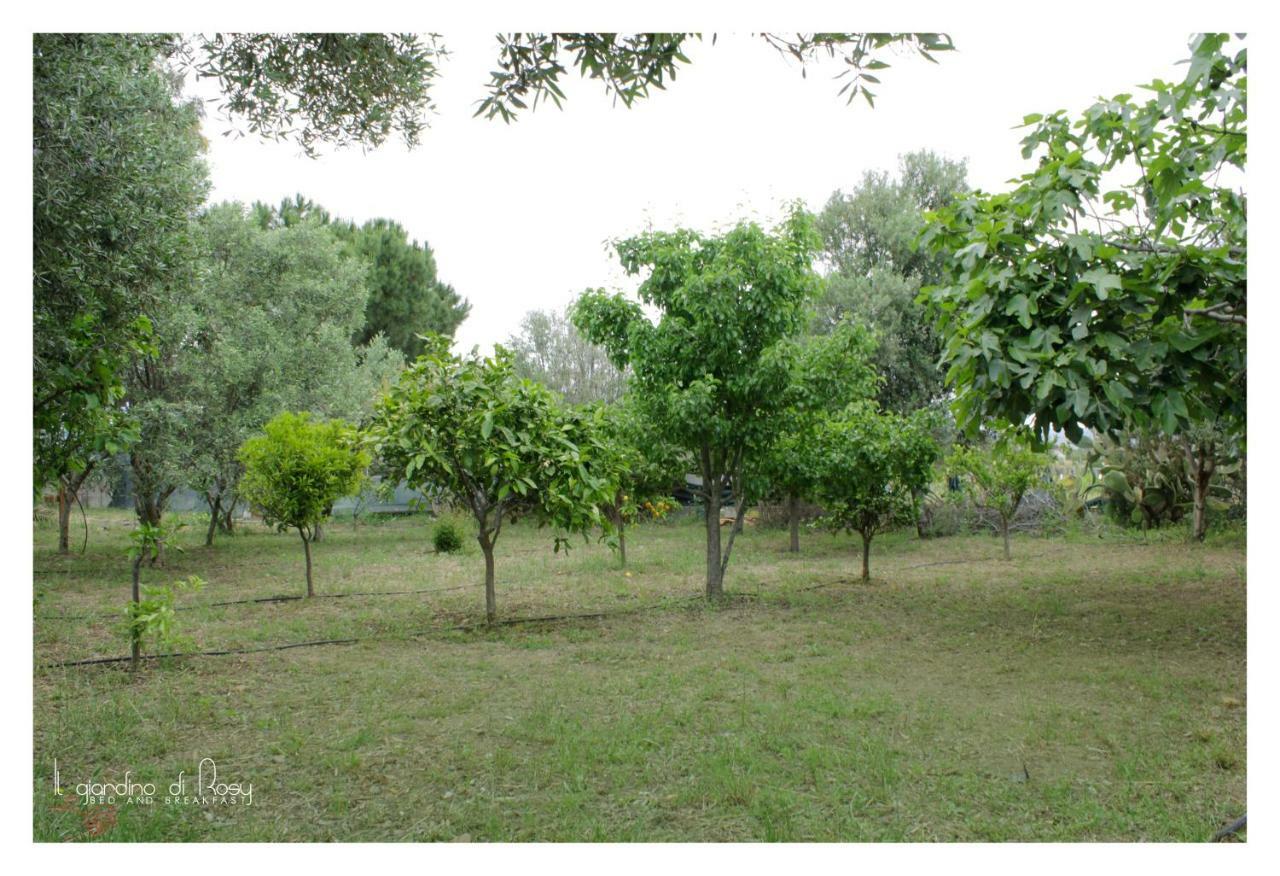 Il Giardino Di Rosy Villa Su Forti Dış mekan fotoğraf